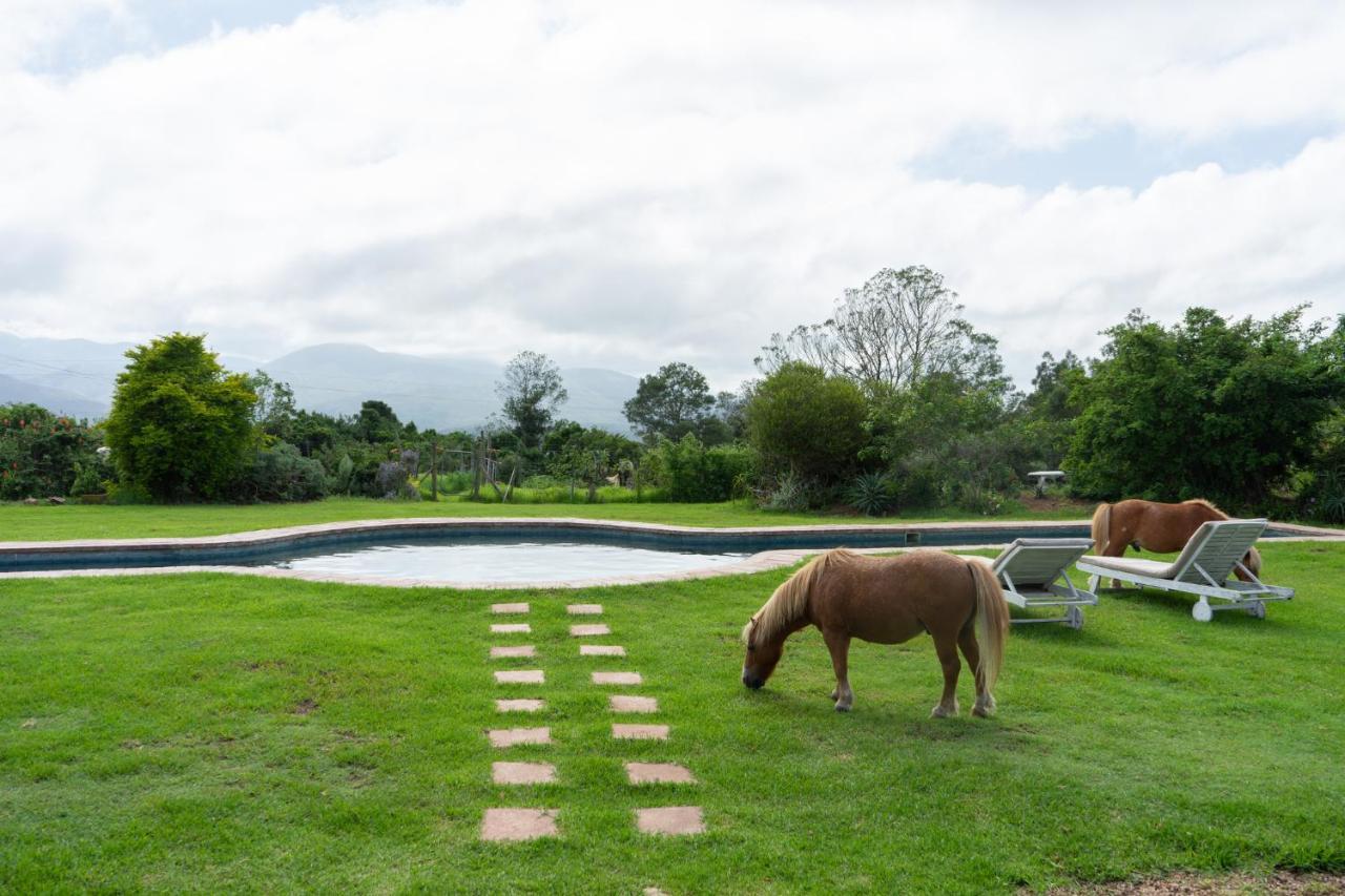 Outeniqua Moon Percheron Stud Farm Ruiterbos Екстер'єр фото